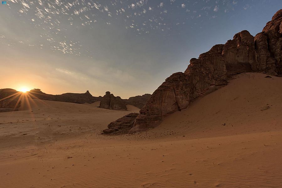 alula