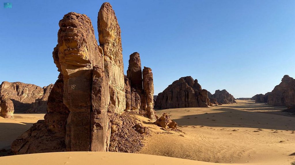 alula
